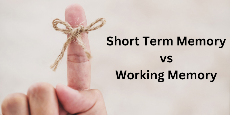 Short Term Memory vs Working Memory: The Battle of the Mind Explained