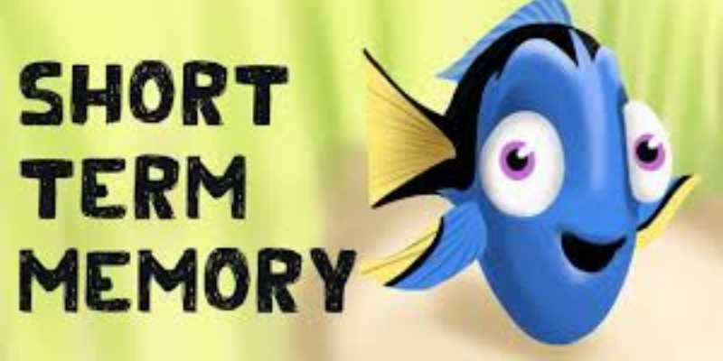 The Mystery of Short Term Memory