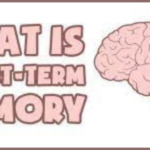 What Is the Short Term Memory