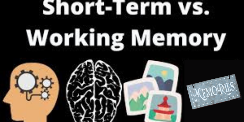 short term memory vs working memory