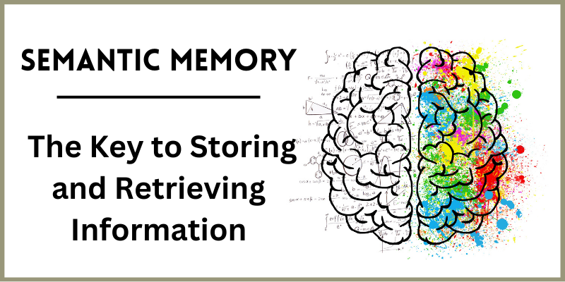 Semantic Memory: The Key to Storing and Retrieving Information