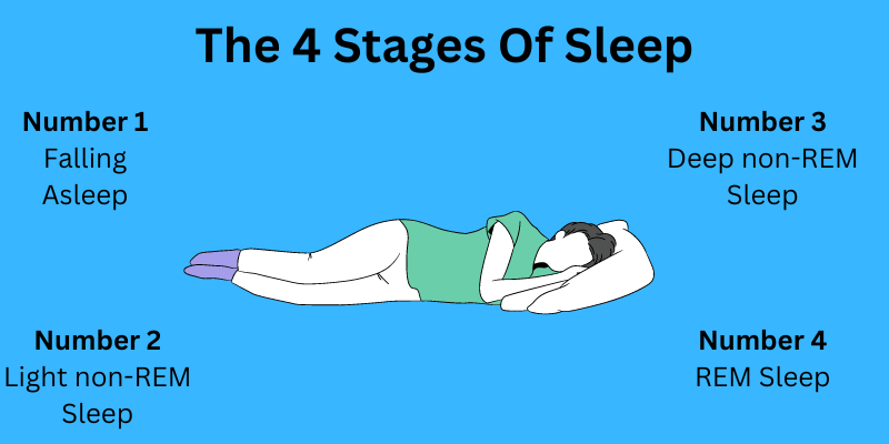 The 4 stages of sleep