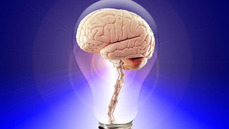Unleashing Your Brain's Potential: Enhancing Memory Naturally
