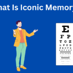 What Is Iconic Memory?