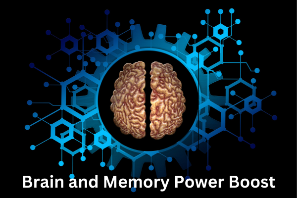 Brain and Memory Power Boost