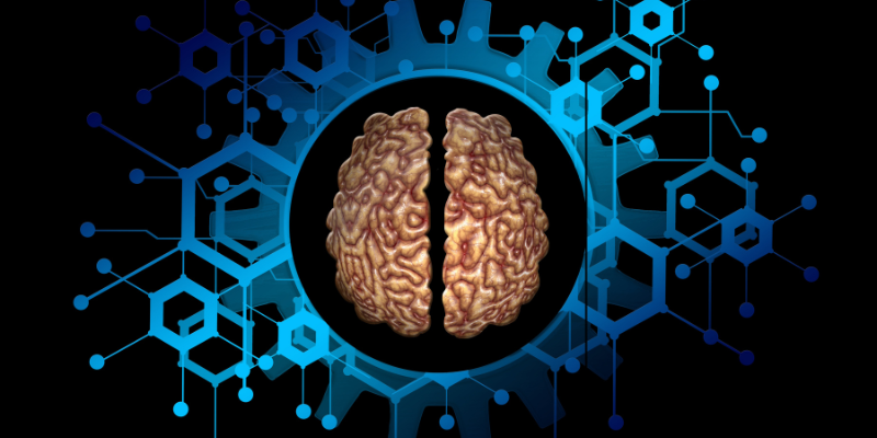 Enhancing IQ through Brain Training